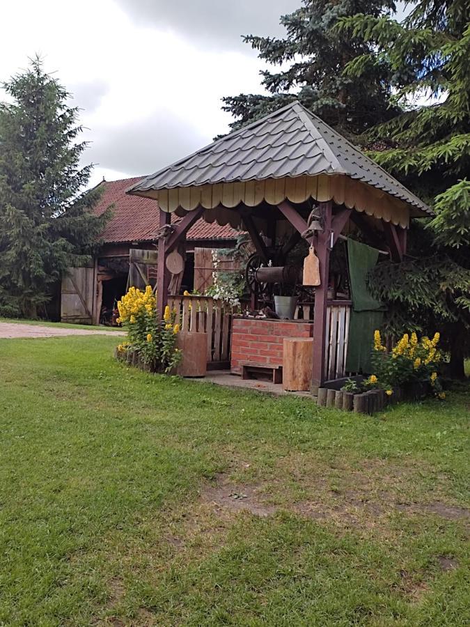 Agroturystyka Kajaki Sauna Pierogi Bakalarzewo Ngoại thất bức ảnh